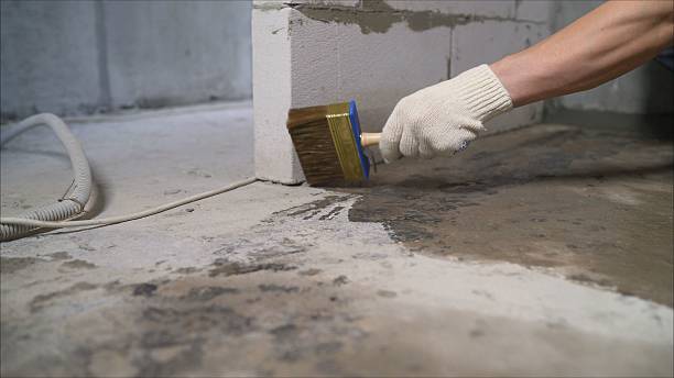 SJ Waterproofing Pros Waterproofing coverage map for Clearwater, MN and surrounding area
